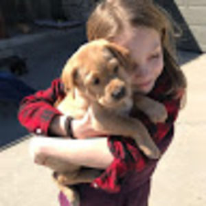 Meet your Posher, Emma